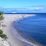 Gdansk Hel Peninsula Private Guided Tour with Cruise or Car - Practical Details and Value