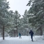 Geilo: Cross-Country Skiing Taster - Who Would Enjoy This Experience?