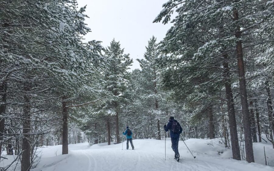 Geilo: Cross-Country Skiing Taster - Who Would Enjoy This Experience?