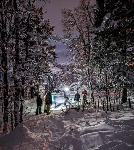 Geilo: Evening family tour with sledge, campfire and fun! - Why This Experience Offers Great Value