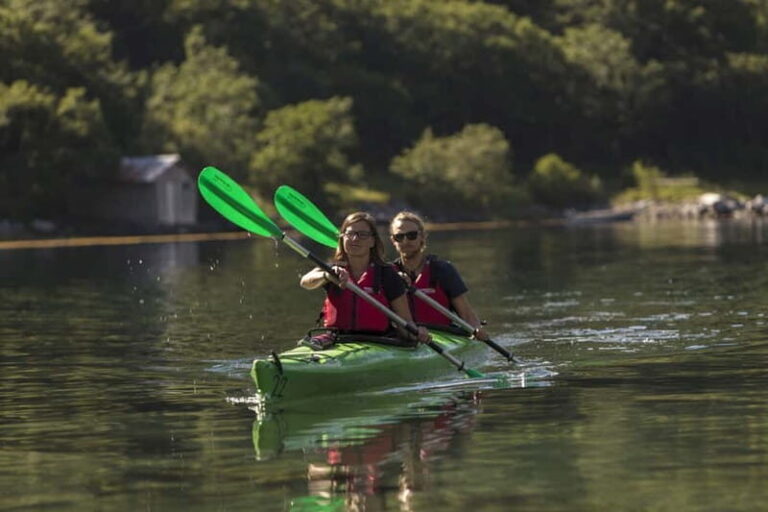 Geiranger: Guided Kayak Tour in Geiranger Fjord - Why You Should Consider This Tour