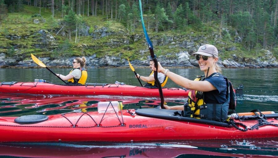 Geiranger: Kayak tour with guide - The Experience in Action: Authentic Reviews and Insights