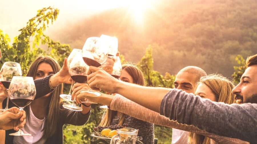 Geneva: Countryside and Wine tasting by E-Bike - What to Expect from the Tour