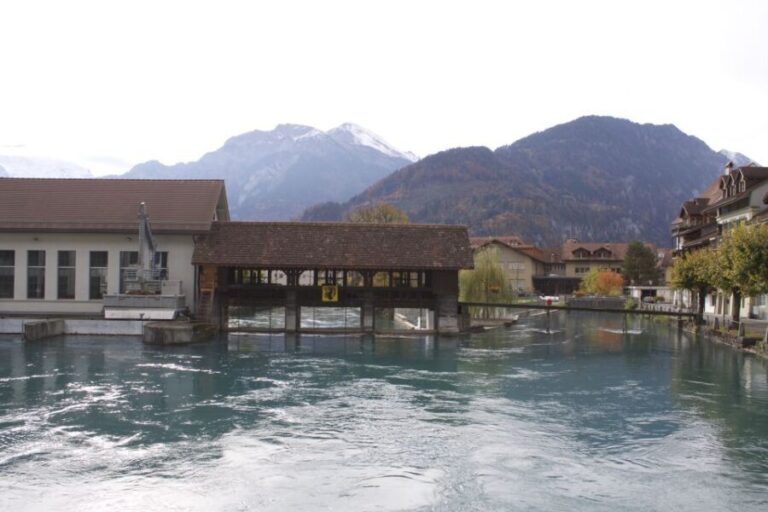 Geneva: Interlaken Day Trip & Visit to Harder Kulm Viewpoint - Who Is This Tour Best Suited For?