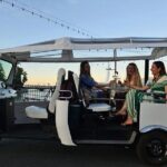 Geneva: Sightseeing of top Places Tour Electric TukTuk 1H15 tour - Who Should Consider This Tour?