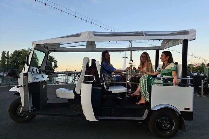Geneva: Sightseeing of top Places Tour Electric TukTuk 1H15 tour - Who Should Consider This Tour?