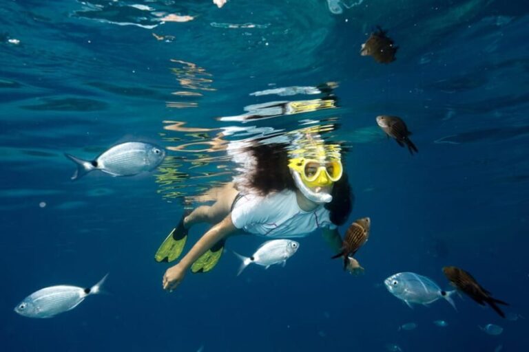 Genoa: snorkeling a stone's throw from downtown - Final Thoughts