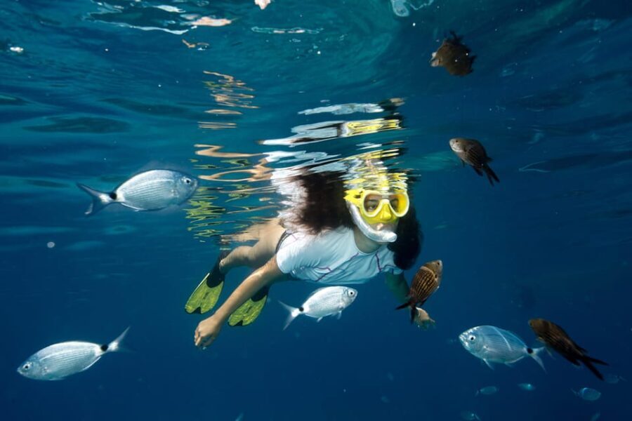 Genoa: snorkeling a stone's throw from downtown - Final Thoughts