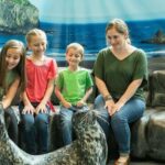 Georgia Aquarium: Sea Lion Encounter - The Sum Up