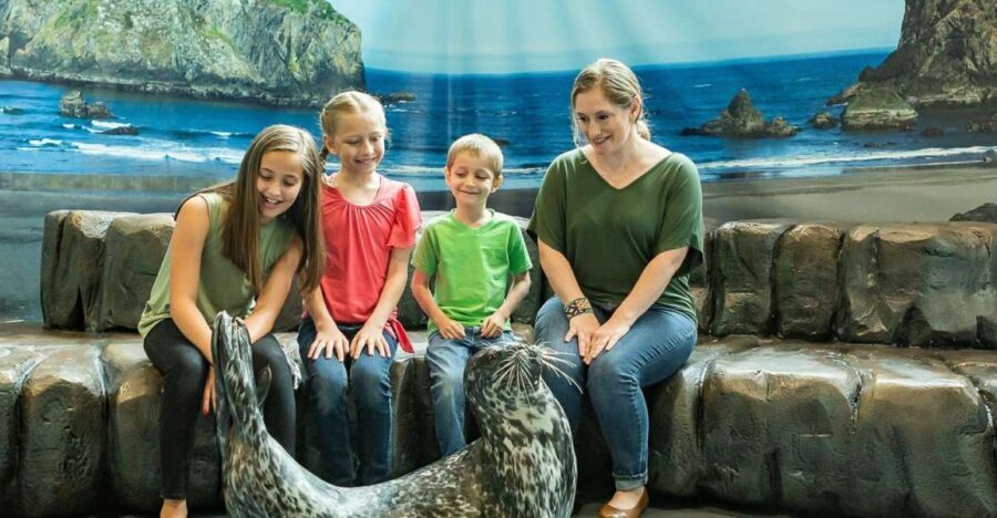 Georgia Aquarium: Sea Lion Encounter - The Sum Up