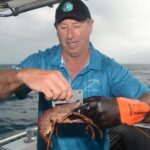Geraldton Lobster Pot Pull - The Sum Up