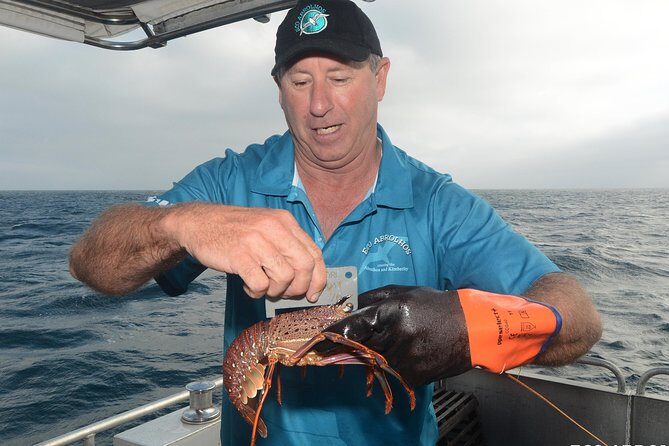 Geraldton Lobster Pot Pull - The Sum Up