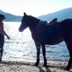 Gerês Braga: Horseback Ride in Peneda Gerês National Park - A Closer Look at the Itinerary