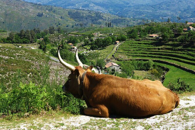Gerês Private Tour (All Inclusive) - Scenic Mountain Drives and Village Visits