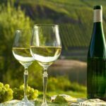 German Wine Self-Guided Tour in Munich's Old Town Wine Bars - How Does It Compare to Other Tours?