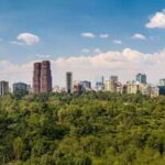 Get lost in the neighborhoods of CDMX on a private tour. - Final Thoughts: Is It Worth It?