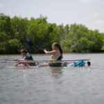 Get Up And Go Kayaking - New Smyrna Beach - Who Will Love This Tour?