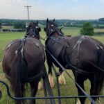 Gettysburg: Horse-Drawn Carriage Tour Countryside & Orchards - Final Thoughts: Who Should Consider This Tour?