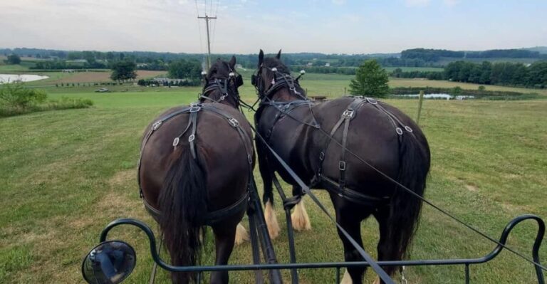 Gettysburg: Horse-Drawn Carriage Tour Countryside & Orchards - Final Thoughts: Who Should Consider This Tour?