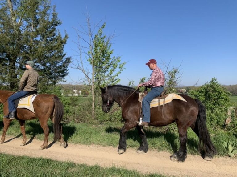 Gettysburg: Licensed Guided Battlefield Horseback Tour - FAQ