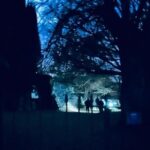 Ghost, Ghouls and Graveyards Private Highland Tour - Why This Tour Works for You