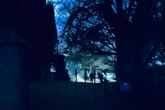 Ghost, Ghouls and Graveyards Private Highland Tour - Why This Tour Works for You
