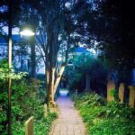 Ghosts of Charleston Night-Time Walking Tour with Unitarian Church Graveyard - Authenticity and Experience