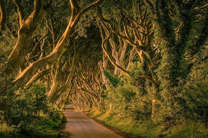 Giant Causeway, Dark Hedges & Whiskey Distillery tour from Dublin - The Sum Up: Who Should Book This Tour?