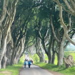 Giants Causeway 4 Hour Private Tour - A Deep Dive into the 4-Hour Private Tour