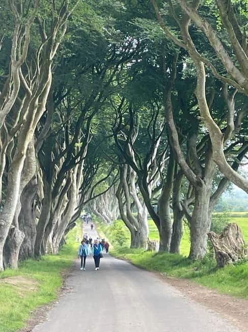 Giants Causeway 4 Hour Private Tour - A Deep Dive into the 4-Hour Private Tour