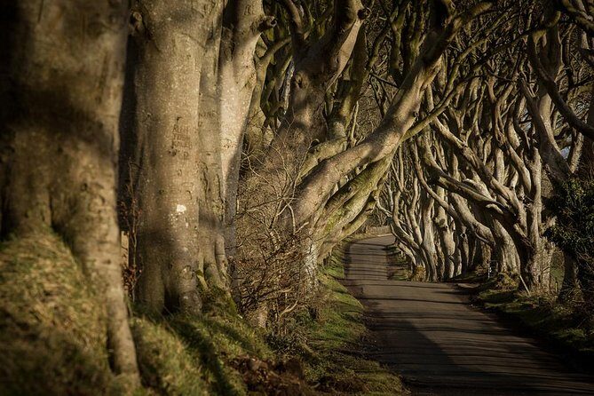 Giant's Causeway and more including Titanic Experience Ticket Tour from Belfast - Authenticity and Value
