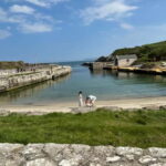 GIANTS CAUSEWAY & BLACK TAXI TOUR - A Deep Dive Into the Tour Experience