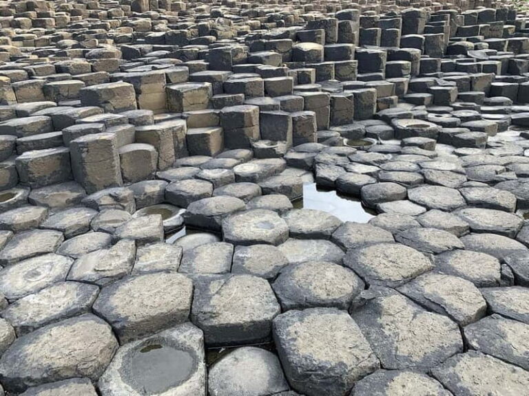 Giants Causeway Tour Cruise Ship Excursion - The Practicalities: What to Expect