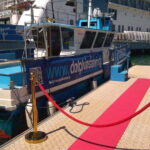 Gibraltar: Dolphin Watching Boat Tour V.I.P - A Deep Dive into the Gibraltar Dolphin Watching Experience