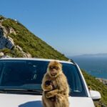 Gibraltar Full Day Tour Ultimate Tour 7hrs - A Deep Dive into the Gibraltar Full Day Tour