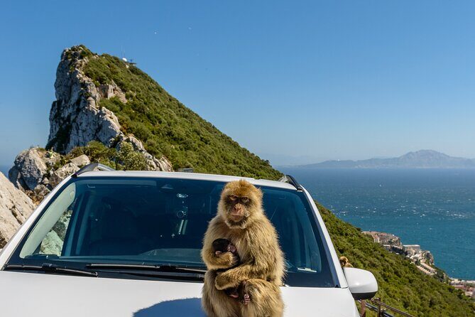 Gibraltar Full Day Tour Ultimate Tour 7hrs - A Deep Dive into the Gibraltar Full Day Tour