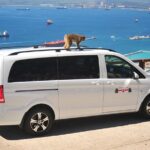 Gibraltar Inside Out Standard Tour 1.45hrs - The Sum Up: Who Should Consider This Tour?