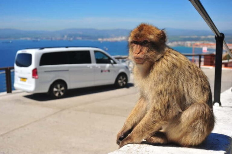 Gibraltar: Private Highlights Tour with Entry Tickets - Who Would Love This Tour?