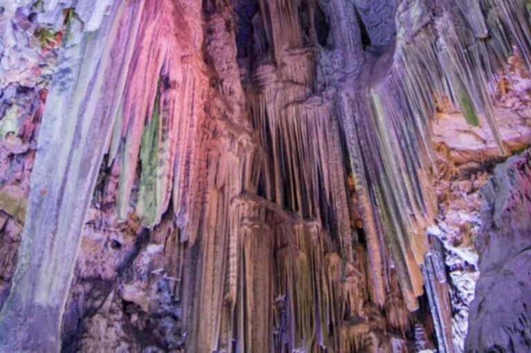 Gibraltar Shore Excursion: The Original Rock & Caves Tour - What Travelers Say: Honest Feedback