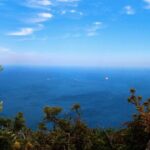 Gibraltar Shore Excursion: The Original Rock, Shop & Caves Tour - A Deep Dive into Gibraltar’s Best-Known Sights