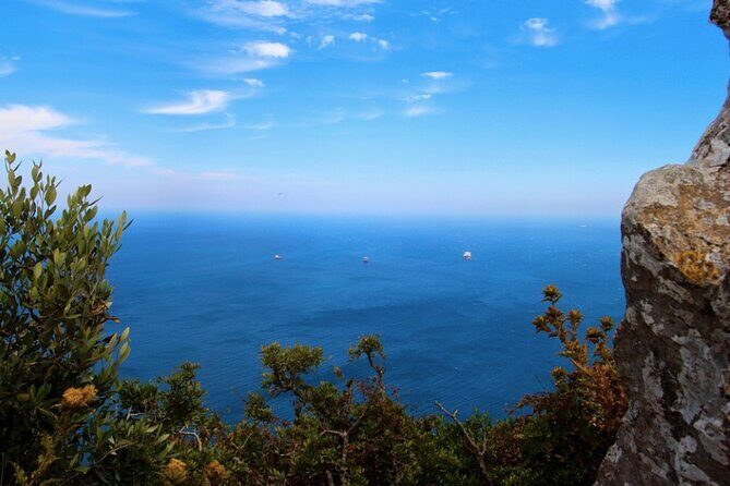 Gibraltar Shore Excursion: The Original Rock, Shop & Caves Tour - A Deep Dive into Gibraltar’s Best-Known Sights