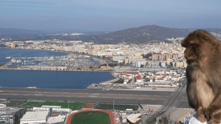 Gibraltar: Tour guiado desde la Costa Del Sol - Who Is This Tour Best For?