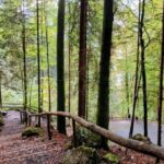 Giessbach Waterfall + CLOY Pier Iseltwald Sightseeing Tour Privat - Who Is This Tour Best For?