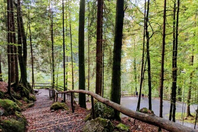 Giessbach Waterfall + CLOY Pier Iseltwald Sightseeing Tour Privat - Who Is This Tour Best For?
