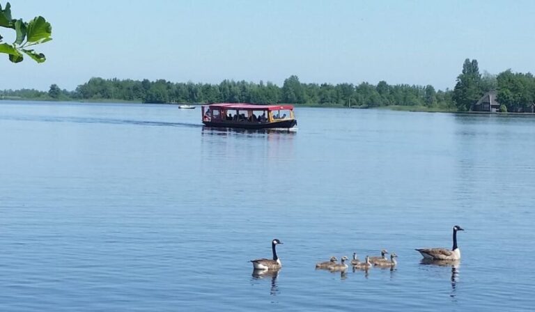 Giethoorn: Canal cruise Giethoorn village and lake - What Makes This Tour Stand Out?