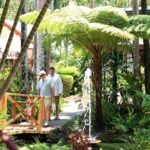 Ginger Factory and Nutworks Return Bus Transfer: Sunshine Coast - Who Should Consider This Tour?