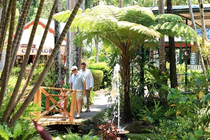 Ginger Factory and Nutworks Return Bus Transfer: Sunshine Coast - Who Should Consider This Tour?
