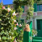 Giverny & Versailles Full-day Tour by Luxury Car - An In-Depth Look at the Tour Experience