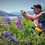Glacier Hike on Matanuska Glacier - Best Vacation Value - The Value and Who Should Go