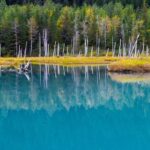 Glacier & Wildlife Discovery Tour - Why This Tour Works Well